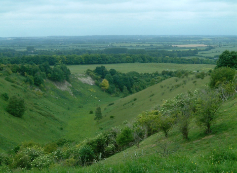 Bedfordshire countryside