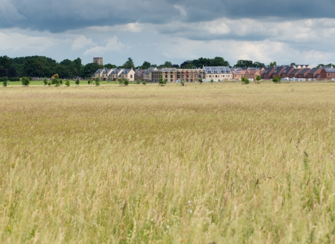 Trumpington Meadows NR wildlife meadows towards new development