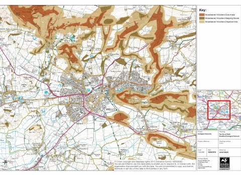 A map of Somerset with colour-coded overlaid guidelines for a Nature Recovery Network