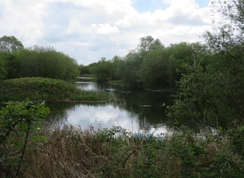 Irthlingborough Lakes