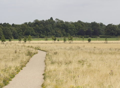 Trumpington Meadows 