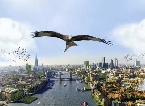 A red kite flies over a green-roofed London