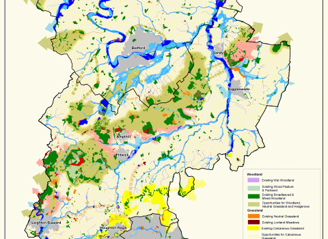 A map showing the opportunities for rebuilding biodiversity in Beds and Luton, colour coded by habitat-type