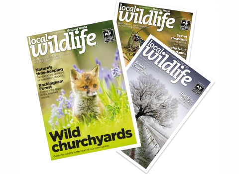 Copies of Local Wildlife Magazine