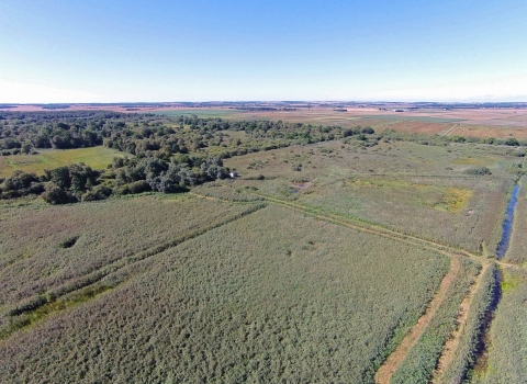 Woodwalton Fen 