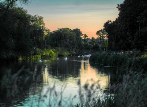 River Nene embankment 