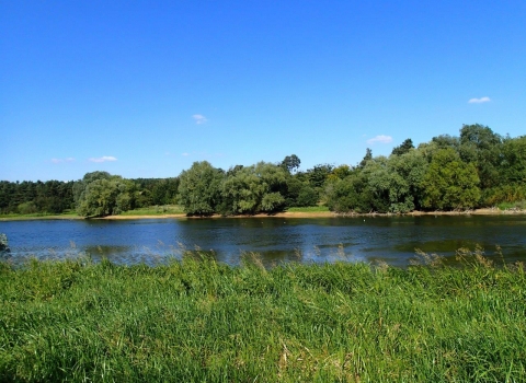 A view of Pitsford Water in the summer