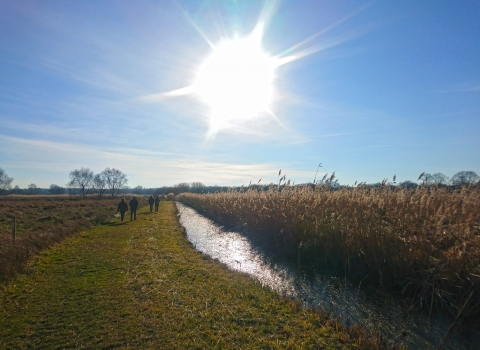 People walking at Woodwalton Fen