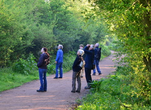 Dawn chorus walk Nene Wetlands