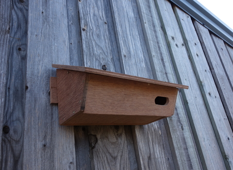 Swift box at Cambourne