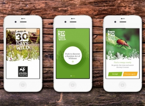 30 Days Wild App open on a phone