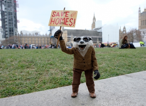 Badger from the Wind in the Willows film holds up a 'Save Our Homes!' sign 