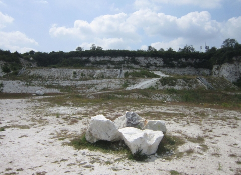 Cherry Hinton Chalk Pits - Cambs Geological Society