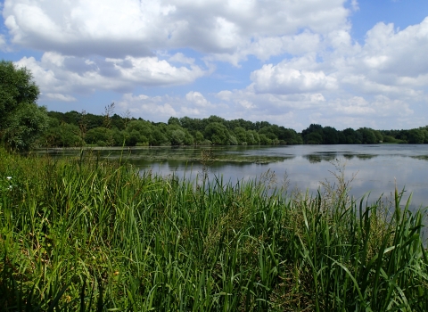 Pitsford Water