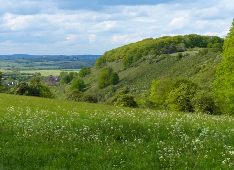 North Chilterns - Sharpenhoe Clappers 