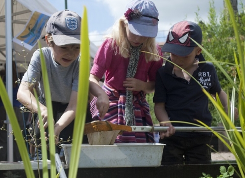 Pond dipping