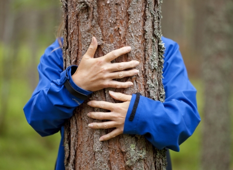 Person hugging tree