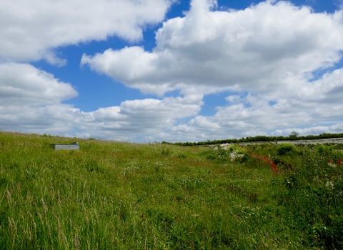 Totternhoe by Caroline Fitton