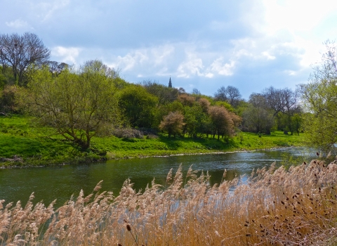 River Great Ouse at Harrold Odell