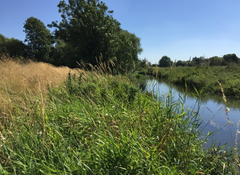 The river at Trumpington Meadows