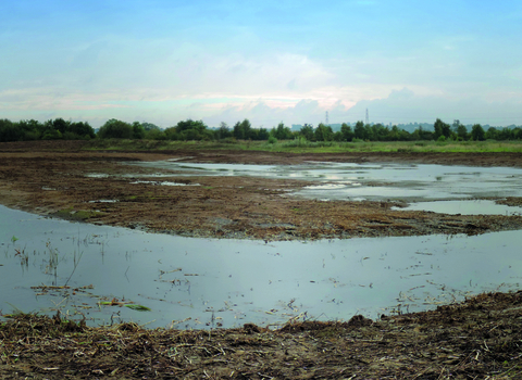 Summer Leys - view from the hide after clearance of the wader scrape