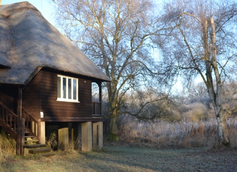 Rosthschild Bungalow