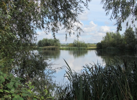 Summer Leys