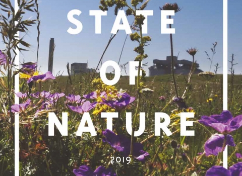 State of Nature Report 2019 Cover