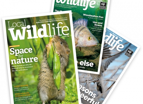 Local Wildlife Magazines fan - Summer 2019