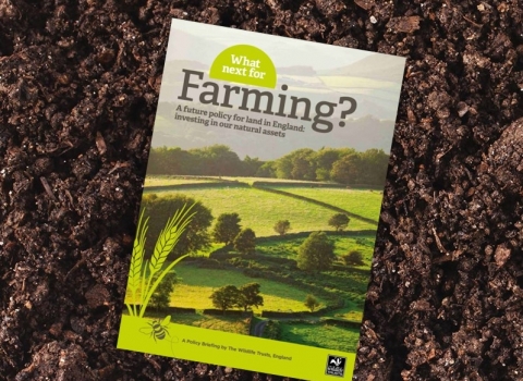 Wildlife Trusts Farming Report cover