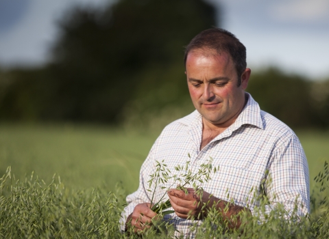 Jordans Farm Partnership - Farmer, Stephen, Suffolk