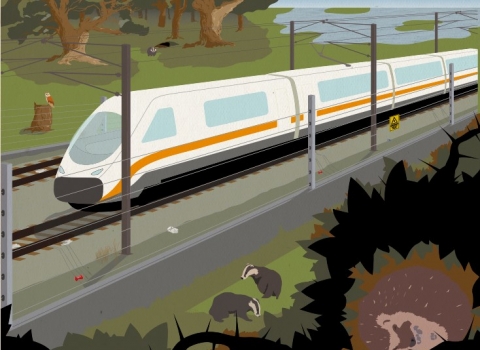 An illustration of a train speeding through a wildlife-rich landscape
