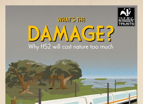 What's the Damage? Why HS2 will cost nature too much. Report cover.