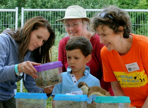 Mammal traps at Cambourne to be Wild Festival