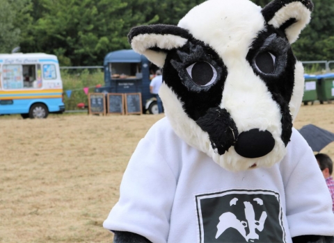Cambourne to be Wild Festival - Badger at festival 2019