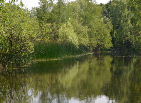 Image of lake at Felmersham Gravel Pits