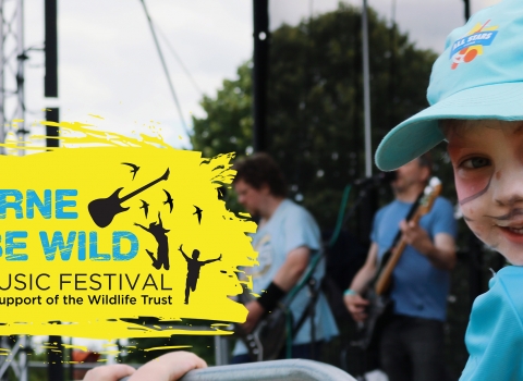 Boy watches band at Cambourne to be Wild Festival