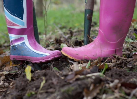 Wildlife gardening Tom Marshall