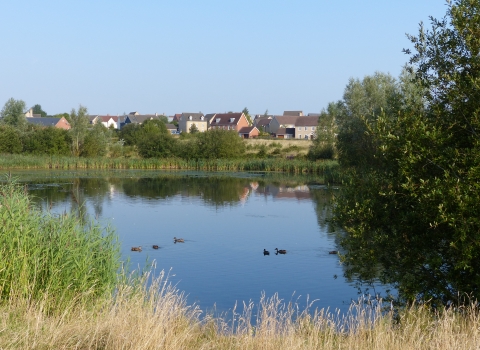A view across a lake to houses in Cambourne