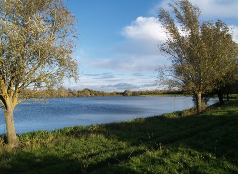 Godmanchester - c. Wildlife Trust BCN