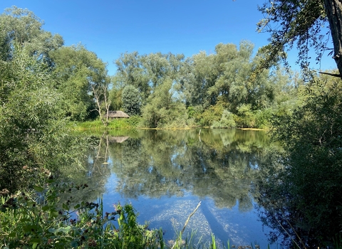 Across the lake - Nene Wetlands