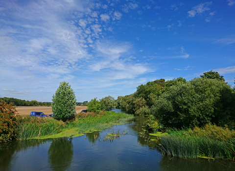 River Great Ouse Summer 2018 - Felmersham - c. Robert Enderby