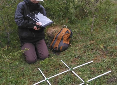 Grassland Survey c.Gwen Hitchcock