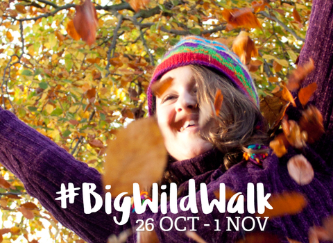 Big Wild Walk Web banner