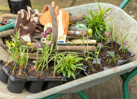 Gardening c Penny Dixie Wildlife Trusts