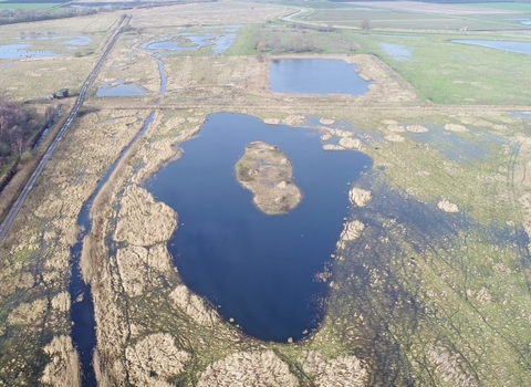 A view across Rymes Reedbed on World Wetlands Day - Great Fen