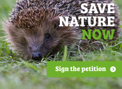 Save nature now - sign the petition