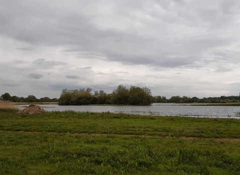 Hawthorn Island, Summer Leys by Ben Newton