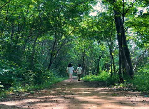 Children walking in the woods