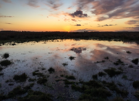 Great Fen sunset Martin Parsons 